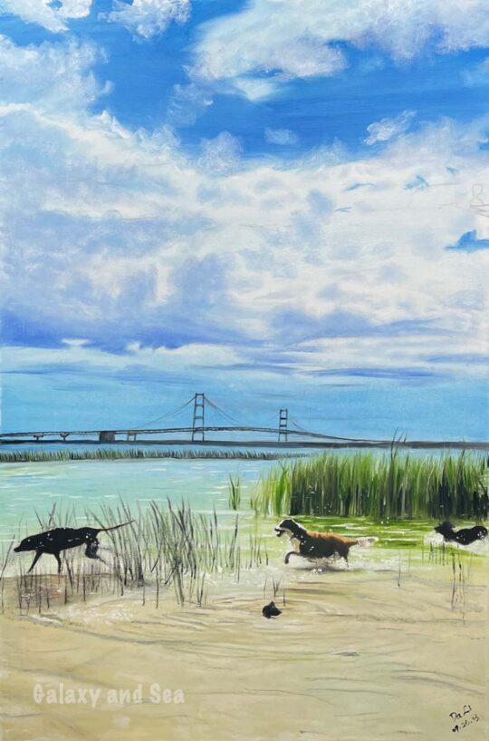 Three Dogs Playing in Lake Michigan Near the Mackinac Bridge (Canvas Print)